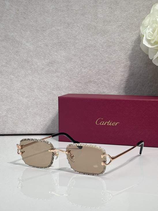 Picture of Cartier Sunglasses _SKUfw80238958fw